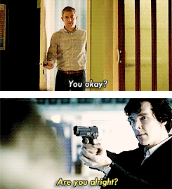 anigrrrl2:  Excuse me while I fling myself into the sun.  
