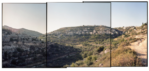 Pauline Beugnies: Battir - 2013-Ongoing Located on hilly land planted of endless rows of ancient oli