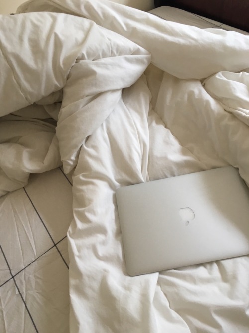 flwrbud:  Comforts ig: selnina