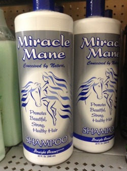 zanetehaiden:  cmbdragon666:  candiedrust:  zanetehaiden:  zanetehaiden:  I found some shampoo for the Zahhak family  NO YOU FUCKERS DONT UNDERSTAND HOW PERFECT THIS IS THIS IS STRAIGHT ARROW BRAND BLUE SHAMPOO WITH A FUCKING HORSE ON THE FRONT THAT SAYS