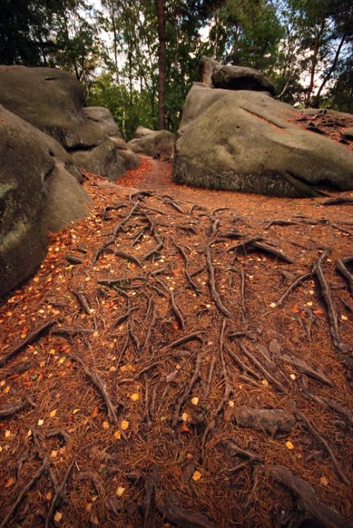 lamus-dworski: Legends from ‘Skamieniałe Miasto’, Stone City Nature Reserve in Poland. N