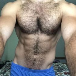 thehairyhunk:  😈😈😈🐻🐻🐻👉🏼👉🏼👉🏼 @bennyboo1989 @thehairyhunk #thehairyhunk #hairybod #hairymen #hairychest #hairyabs #hairy #chest #chestperfection #muscles #fit #hotbod #hotmen #sexymen #handsome #beautifulmen #hunk #superhunk