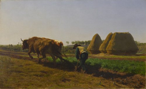 Ploughing Scene, Rosa Bonheur, 1854