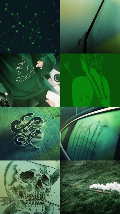 Slytherin Girl • Sagittarius —- @drowninginmycornflakes hope you enjoy!!!