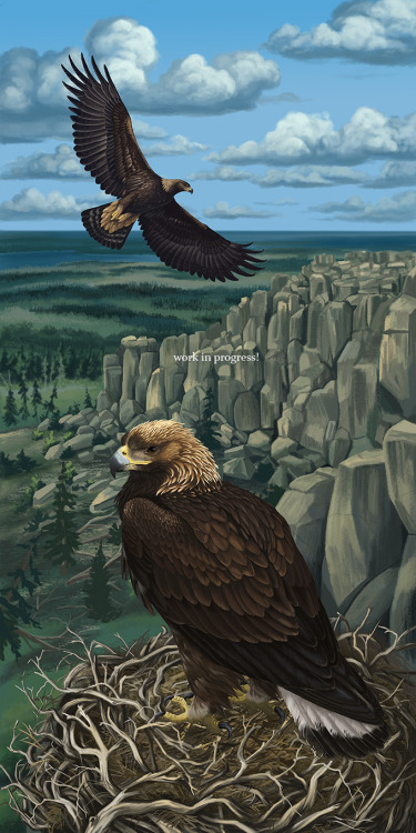 I won’t apologize for the eagle spam, but here they are in their in-progress background. See why I w