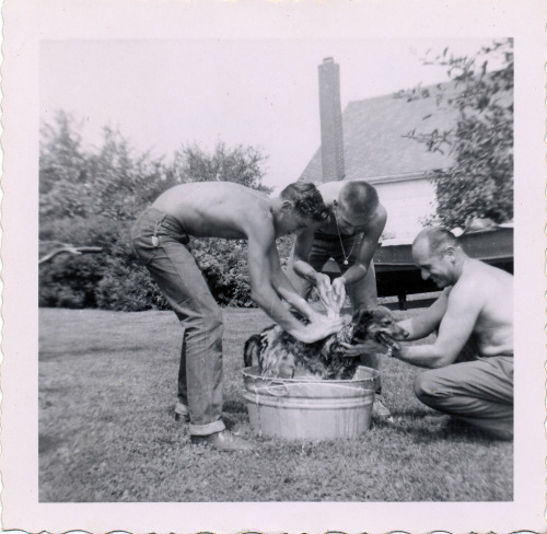 Jim, Larry &amp; Brian bathing Smokey, August 1957