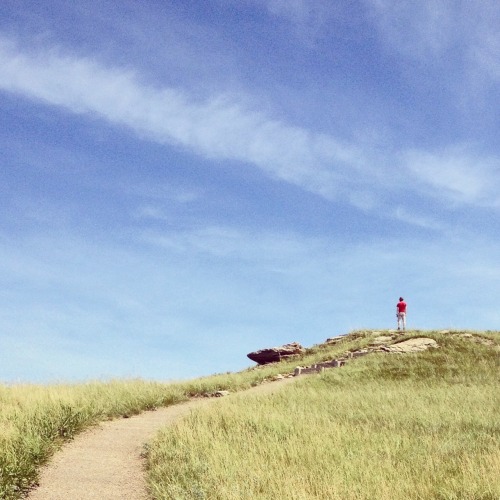 banjosandbogs:  Summer Trails from the West. 