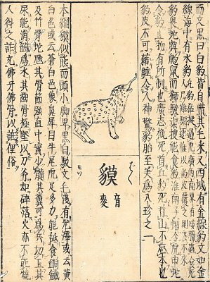 somnium13:  Baku (獏 or 貘) are Japanese supernatural beings that devour dreams and nightmares. Accord