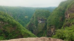 oceaniatropics:    Tully Gorge National Park,Koombooloomba,Queensland,