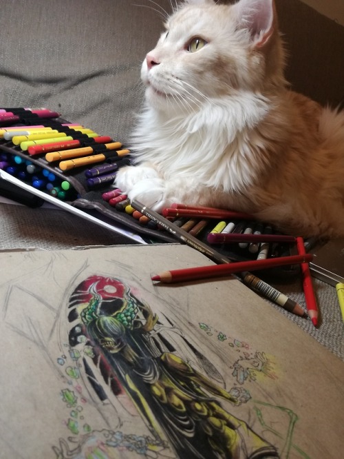 Wannado WIP and cat