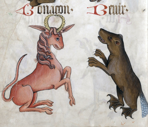 bonacon and bevir&lsquo;Helmingham bestiary&rsquo;, England ca. 1500Yale Center for British Art, Fol