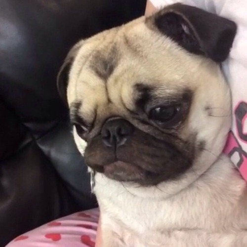 mugicha1:  mood