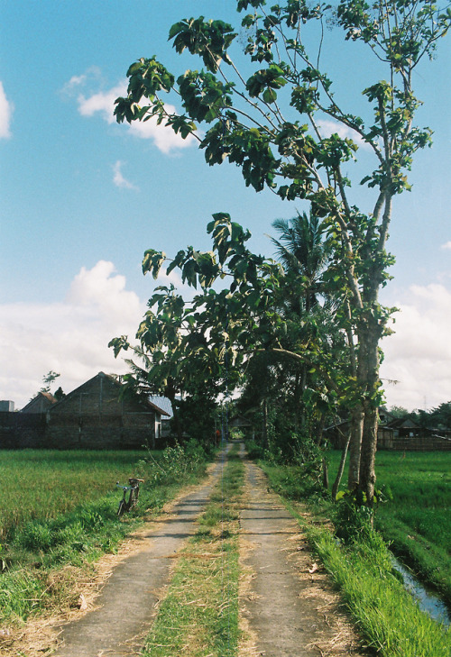 End of the road - Kodak Portra 800, Minolta Dynax 5000i - Yogyakarta, Indonesia - February 2018