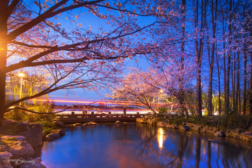 mingsonjia:杭州之春 Spring of Hangzhou, China by zhangkeshuang