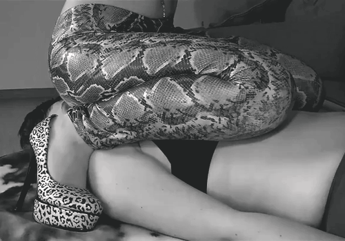 http://sexxyfight.tumblr.com/post/126983103493