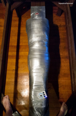 tapedandtortured:That time I got wrapped