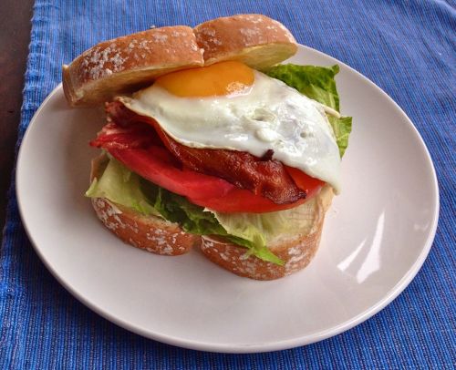 What’s for lunch? BLT topped with a lightly fried egg? Why yes. Mopping up the yolk with the sandwic