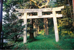 greentreeleaf:  Country side torii by nimbus55