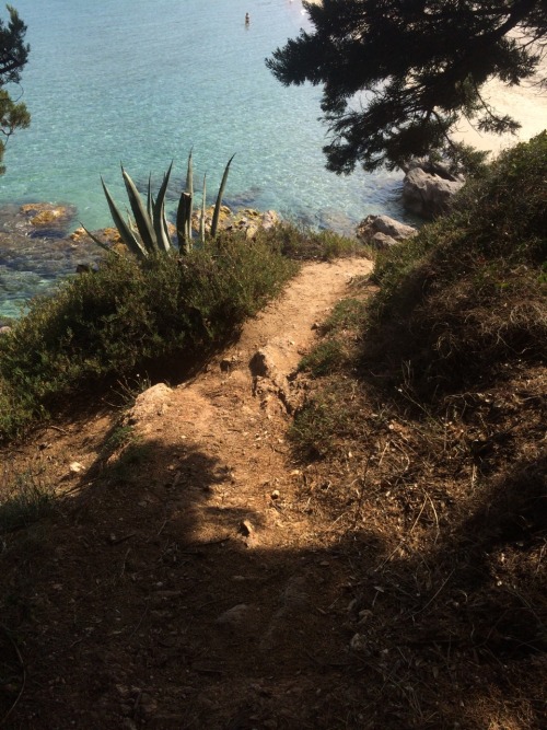 leopoldasbeach:Une fois quand j'avais trois ans je marchais sur ce chemin avec ma baby Sitter qui te