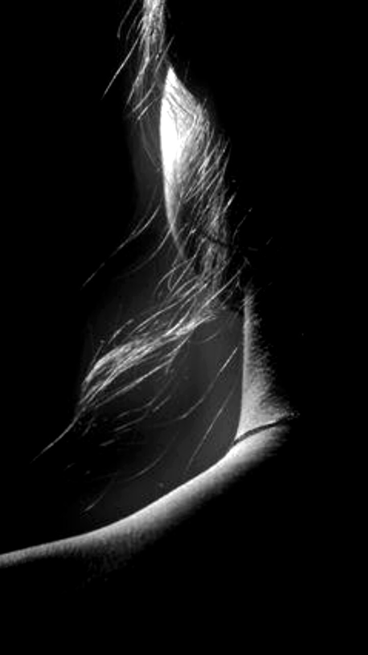 orchidea&ndash;nera: volodiunacapinera:  ♠  . 