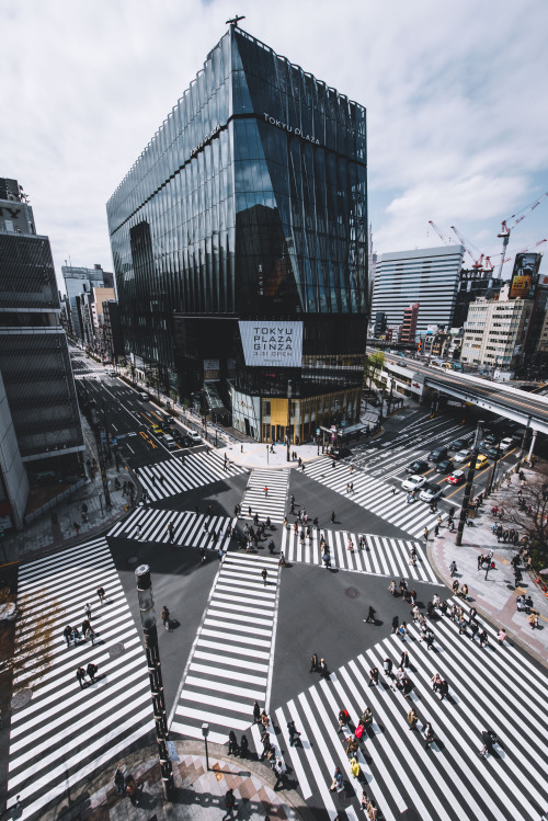 Week 13: Going places, Tokyo