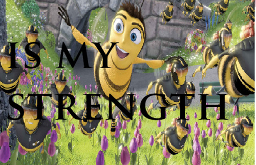 mackinonmacncheese:  every fandom needs a photoset like this… even bee shrek test in the house  holy fuck