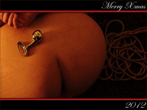 that year again, I wish you a merry xmas with another wallpaper …rope bondage and metal plug 