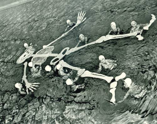 A clever Halloween-themed display from the Nereidians, Duke University’s synchronized swimming group