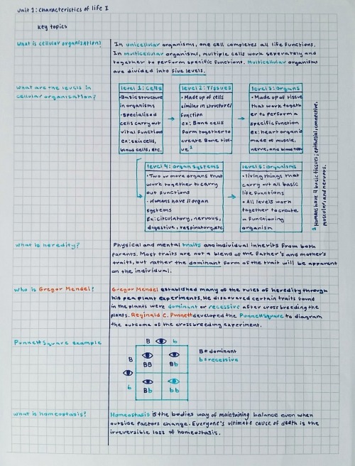 Ad Astra Per Aspera • Color Coding Notes 101 by aca-demia