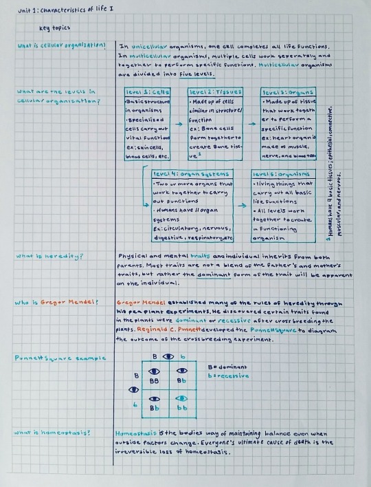 Color Coding Notes 101  by aca-demia