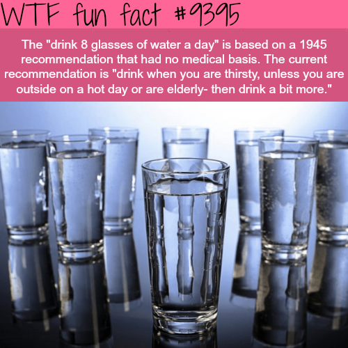 Porn Pics wtf-fun-factss:The Myth of Drinking 8 Glasses