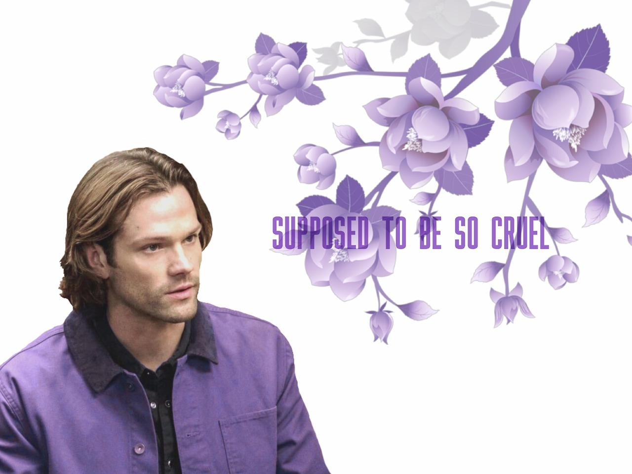 League Of Sam Winchester Admirers