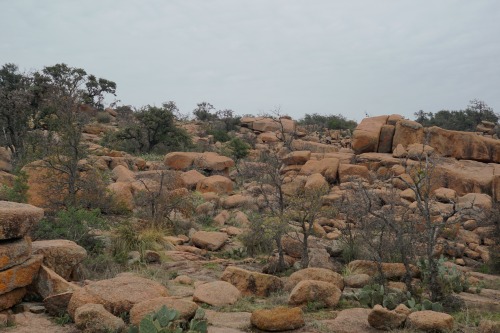 goodcopbearcop: Pink Granite Boulders that surround Enchanted Rock, all part of the Llano Uplift. En