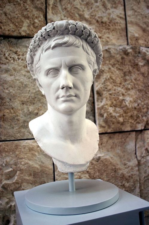 thebackstreetshistorian:last-of-the-romans:Julio-Claudian BustsTop Row: Octavia, Augustus, &amp; Mar