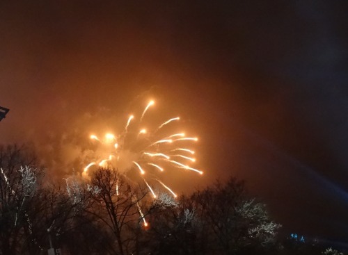 grunnotter:  Happy new year!! It was great to be in Berlin to celebrate Silvester @ Brandenburger Tor, it was great with just a little bit too much Glühwein :) 