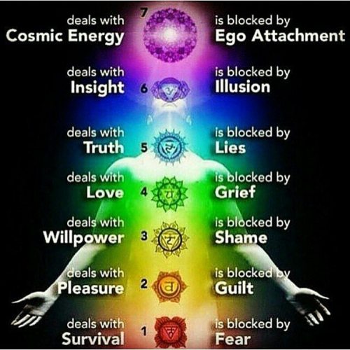 #zen #awakening #enlightment #5D #consciousness #synchronicity #magic #manifestation #intention #lawofattraction