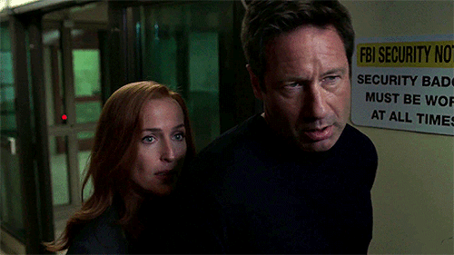 my favorite fbi agents