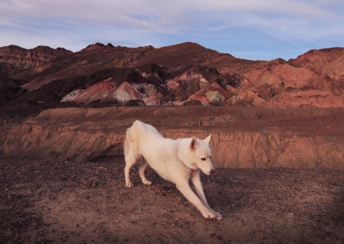 johnandwolf:Artist’s Palette, Death Valley, CA / November 2014