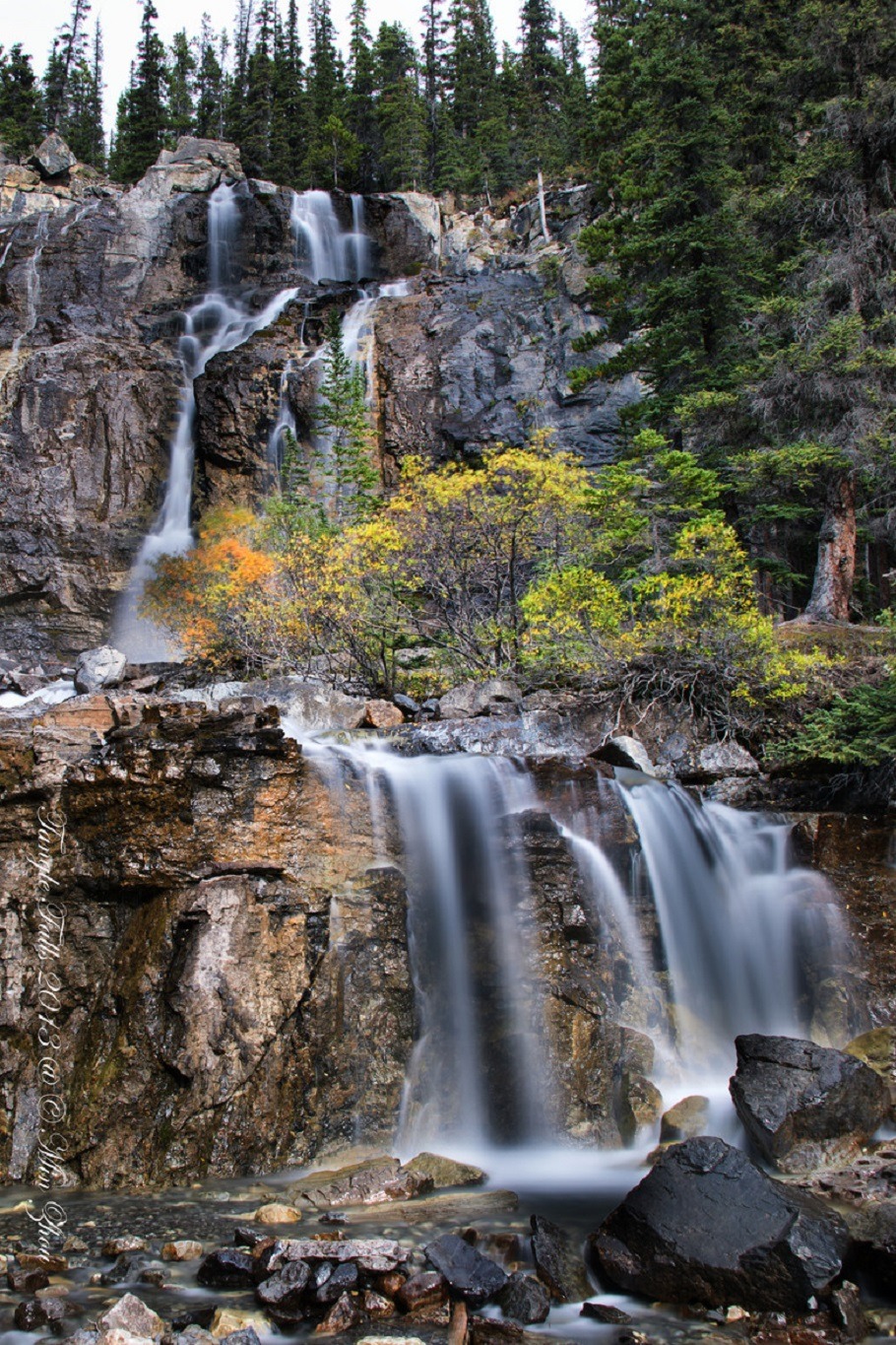 sublim-ature:  Tangle Falls, AlbertaMin Zhou 