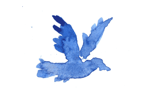 Um passarinho azul; talvez seria a ilustração que mais me representasse atualmente.
Passarinhos; frágeis, delicados, envoltos de proteção pelos pais. Mas esse passarinho nem sempre terá esta proteção, e a fragilidade e delicadeza nem sempre serão...