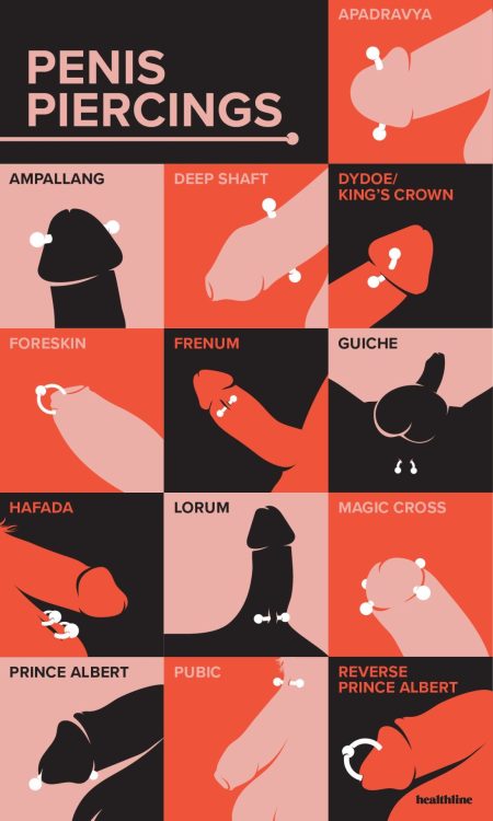 allthepiercingsandbodymods: Types of Penis (genital) piercings. Graphic by Healthline.
