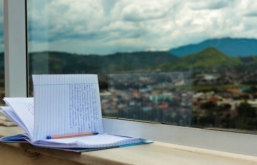 Someone left their notebook by this window/fence thingy and it felt perfect for a picture