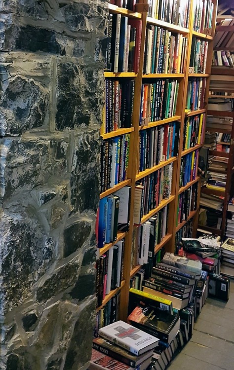 Wonderful to be at a bookstore on a snowy day.