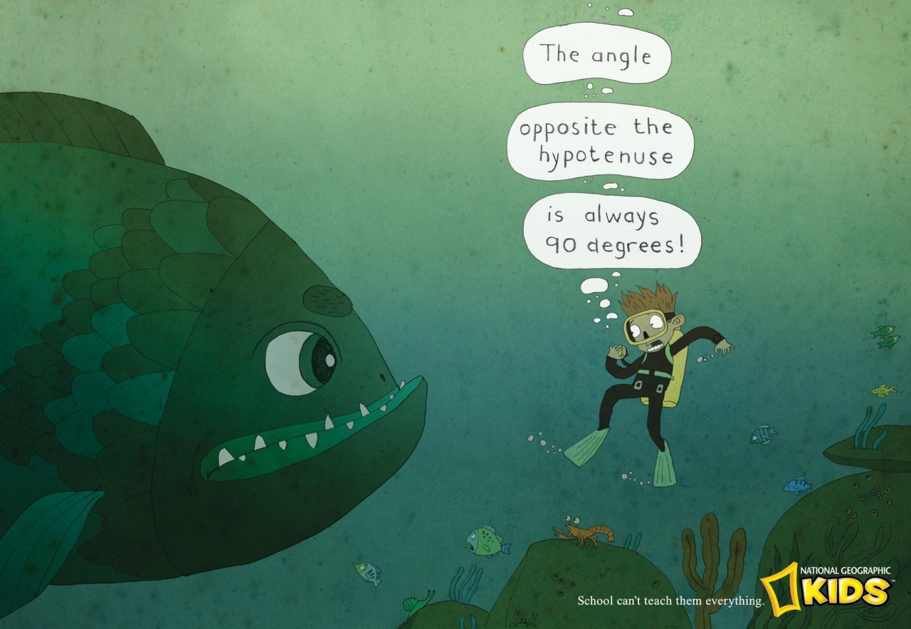 nevver:  School can’t teach them everything, NatGeo Ads