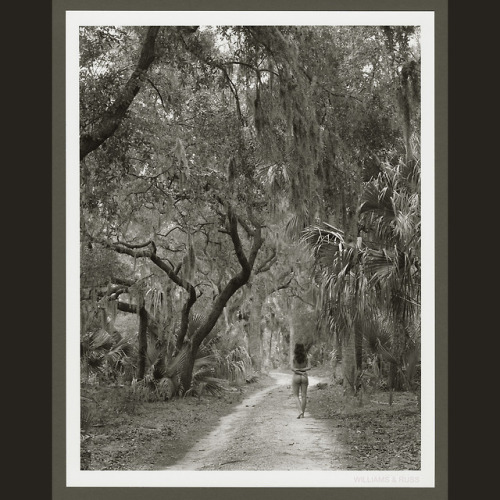 Did you know that we do a weekly print auction? This is our offering this week - WALKING AWAY, an 11
