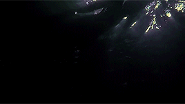 tumblr_py6yjljAN31s0hiv2o8_r1_400.gif