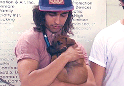 damnedcoffee:  I wish I was that freaking puppy… 