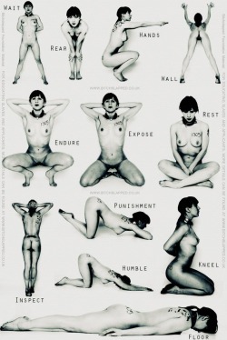 bondageml:  Slave positions