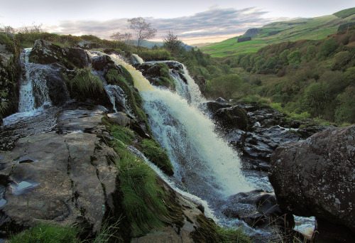 THE SUBLIME LOUP OF FINTRY by KENNETH BARKER