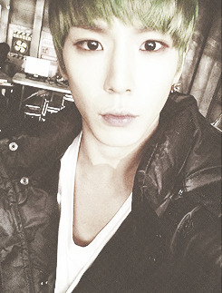 therapical-blog:  himchan’s recent selcas 